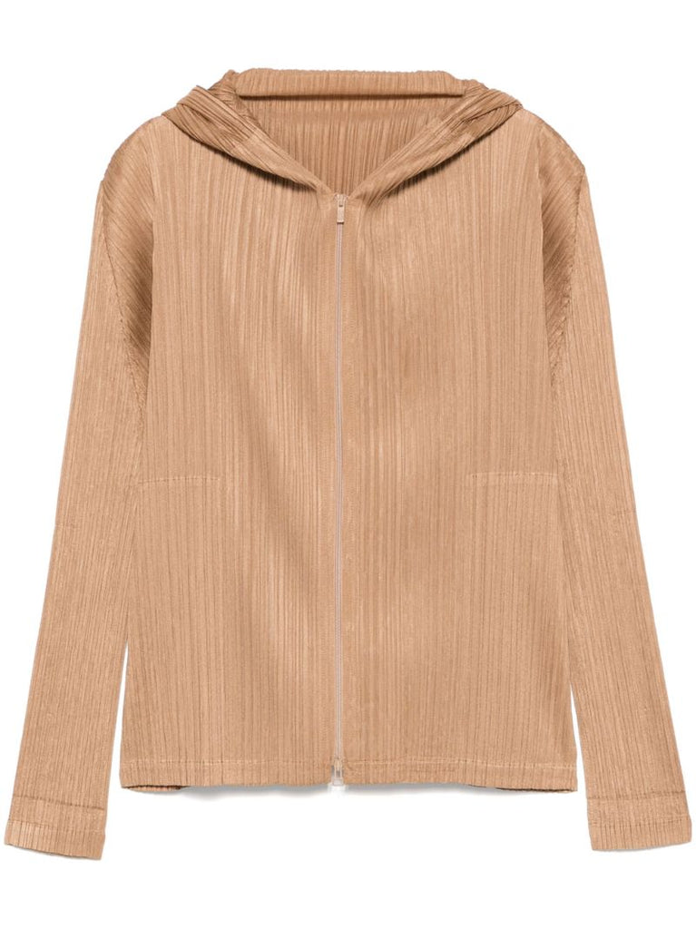 Monthly Colors: December Hoodie