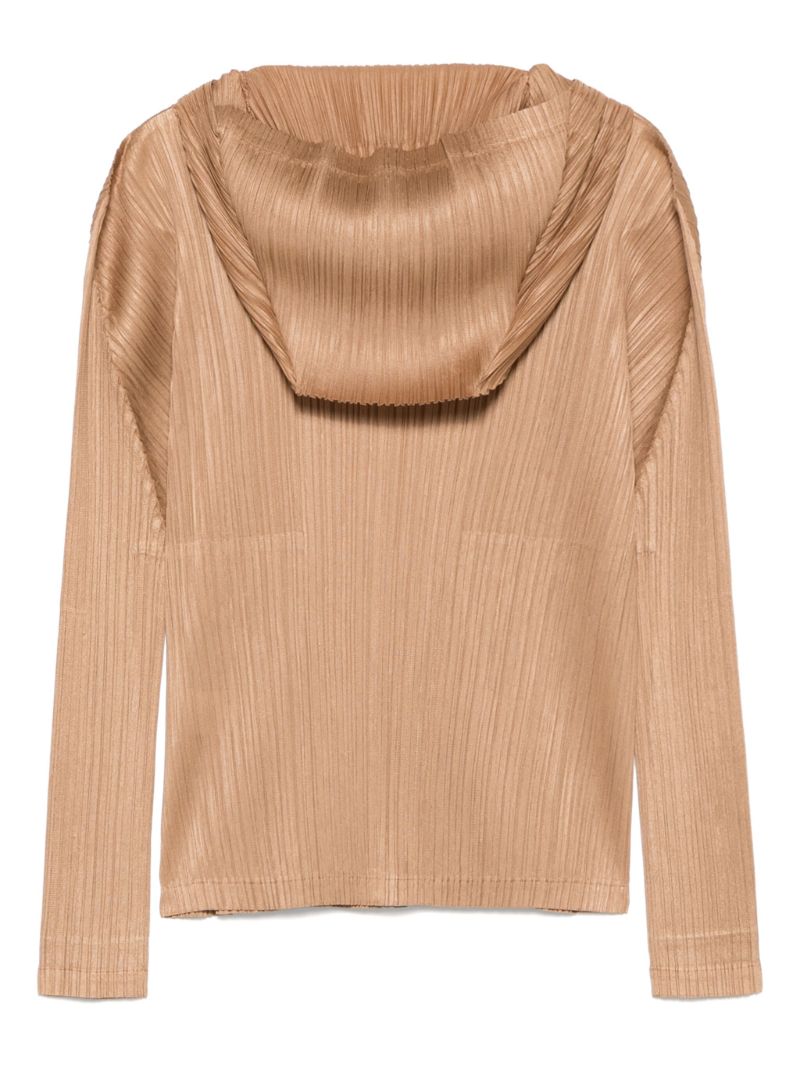 Monthly Colors: December Hoodie