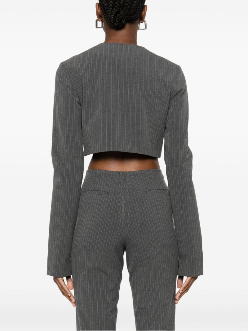 Pinstripe Cropped Top