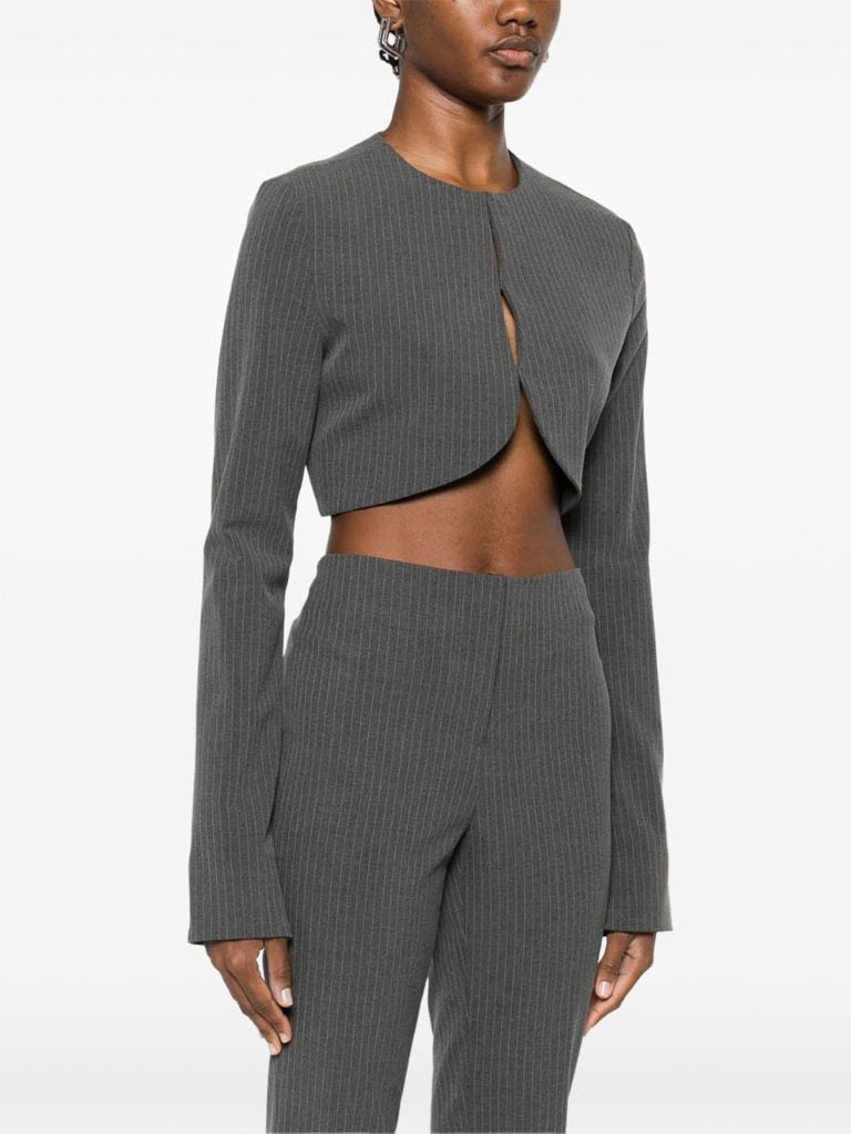 Pinstripe Cropped Top