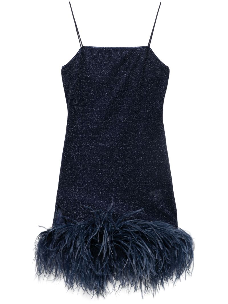 Blue Paillettes Plumage Dress