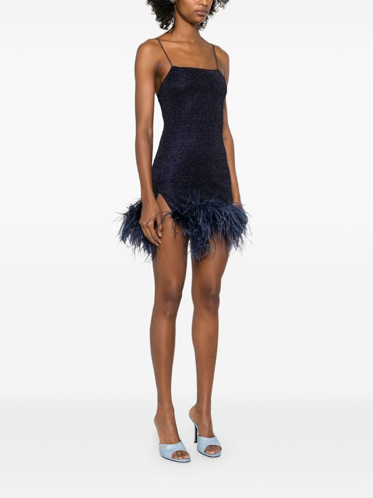 Blue Paillettes Plumage Dress
