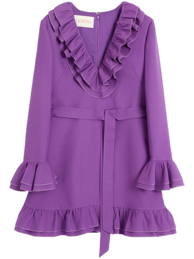 Ruffled Mini Dress