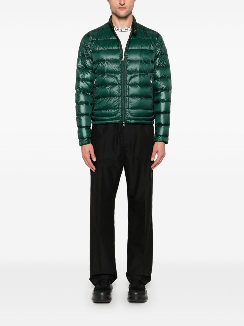 Green Acorus Jacket
