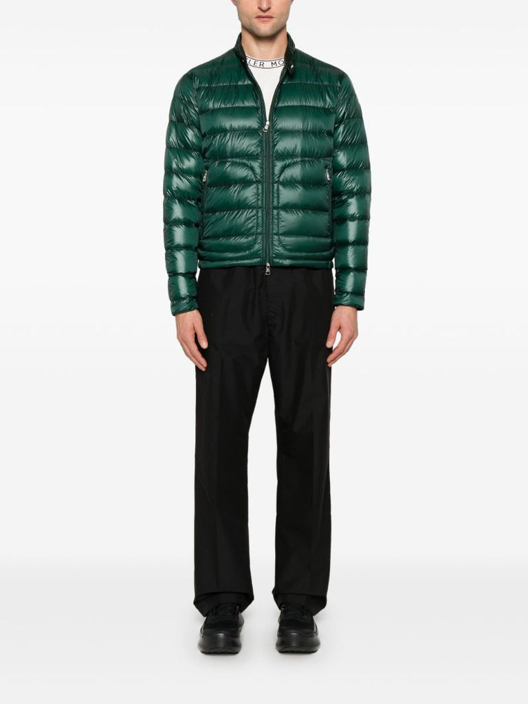 Green Acorus Jacket