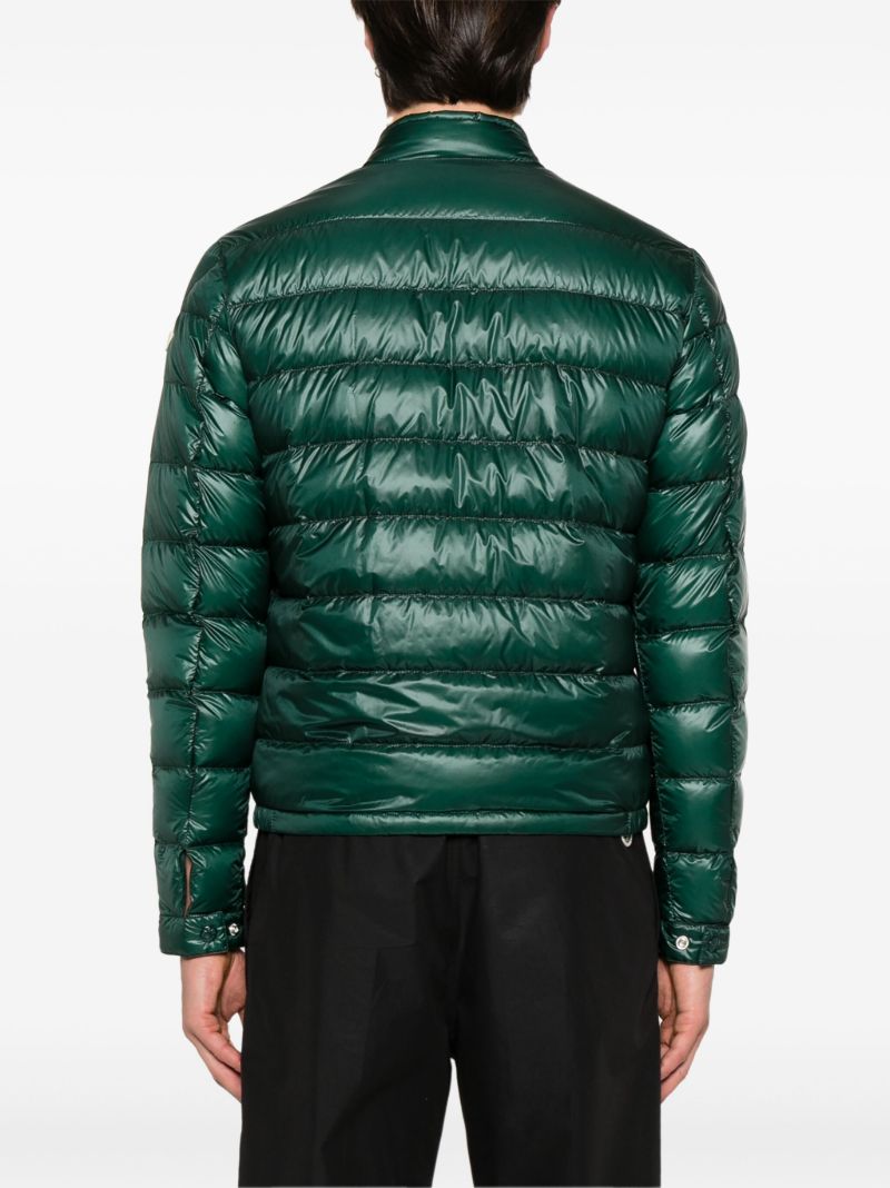 Green Acorus Jacket