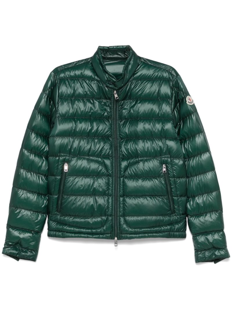 Green Acorus Jacket