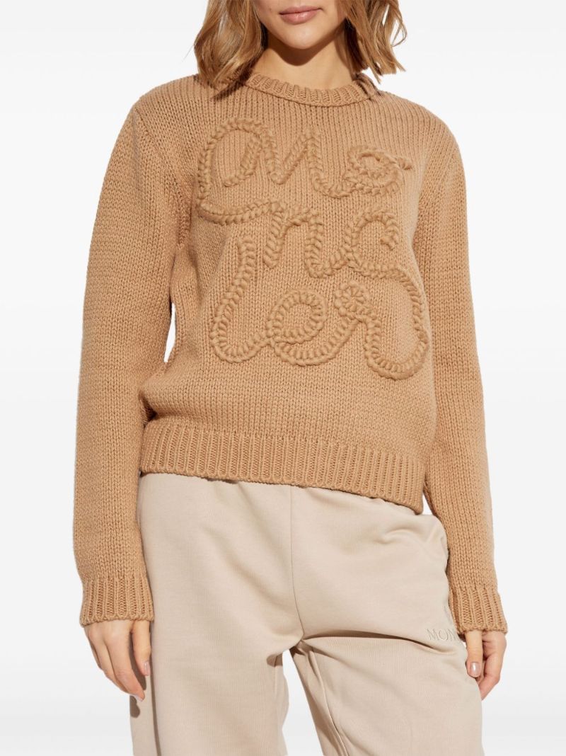 Logo Jumper