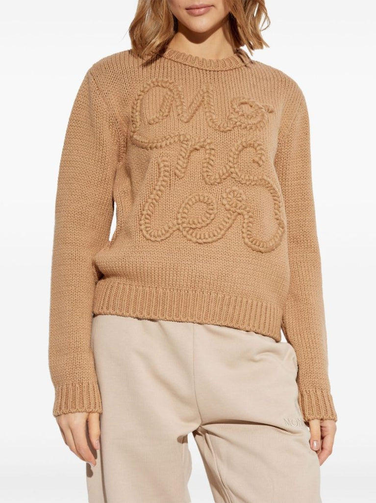 Logo Jumper
